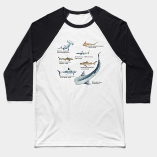 Sharks Galore Baseball T-Shirt